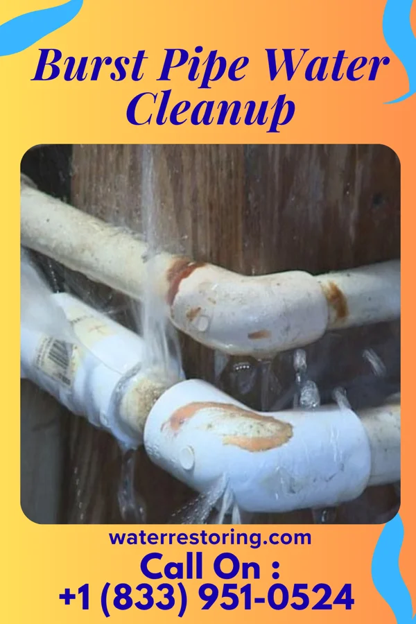 Burst Pipe Water Cleanup in Westover, WV