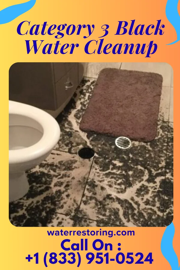 Category 3 Black Water Cleanup in Westover, WV