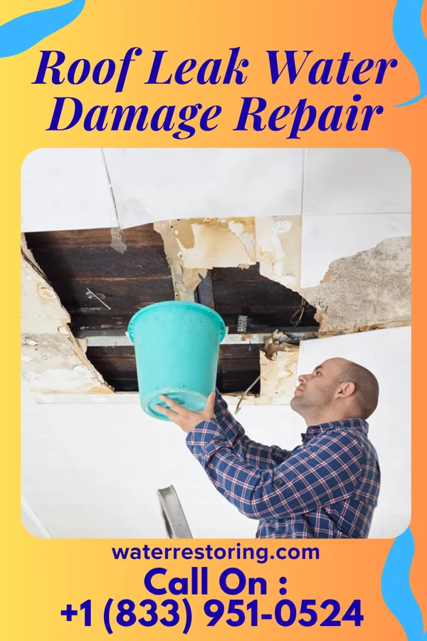 Roof Leak Water Damage Repair in Westover, WV