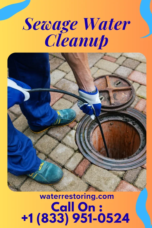 Sewage Water Cleanup in Westover, WV